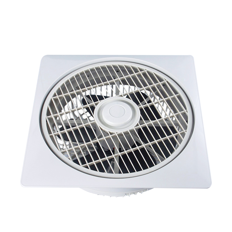 ����ϵ��